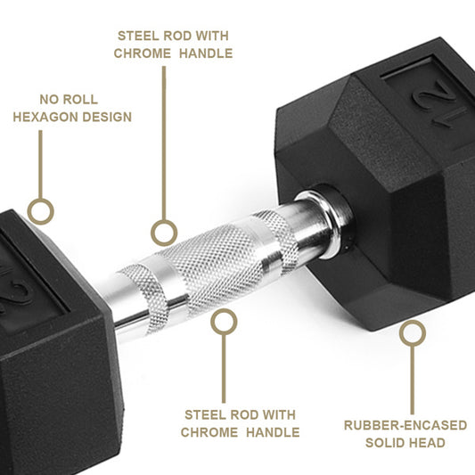 15LB Rubber-Coated Solid Cast Iron Dumbbells – Non-Slip Grip Fitness Weights (2-Pack)