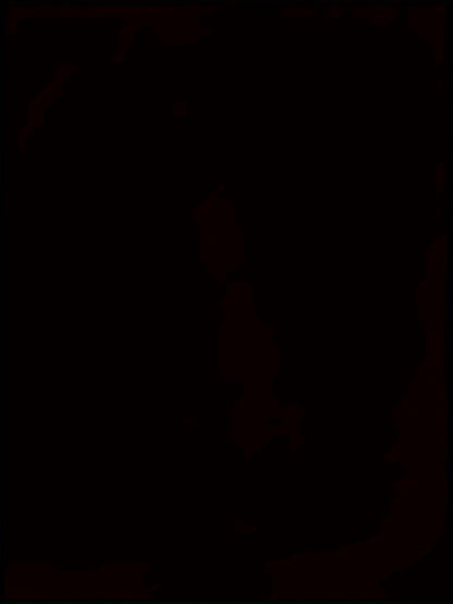 WildVision 3D Digital Wolf Eye Men’s Round Neck T-Shirt